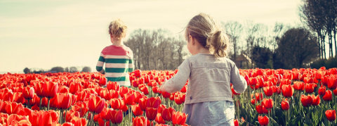 ¡Bienvenida, Primavera!